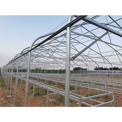 Customizable Metal Pipe Frame Greenhouse With 200micron Plastic Film