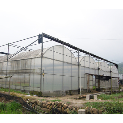 Film Surface Insulated Greenhouse Kits For Flowers And Vegetables Growing