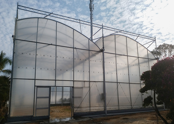 Single Layer Greenhouse Hydroponics System Wrought Iron Greenhouse With Film Surface