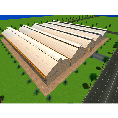 IGreen Length Strawberry Tropical Greenhouse 150/200micron Plastic Film Covering Material