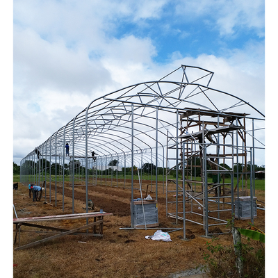 Single Layer Wind Resistant Greenhouse Rain Shelter For Maximum Protection