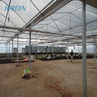 Film Type High Tunnel Greenhouse Customizable For Flowers Farming Demands