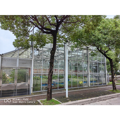 IGREEN Agricultural Venlo Glass Greenhouse  to Grow Flowers and Seedlings