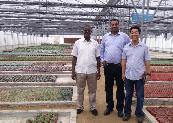 S Hot Dipped Galvanized Steel Structure Greenhouse for Agricultural Vegetable