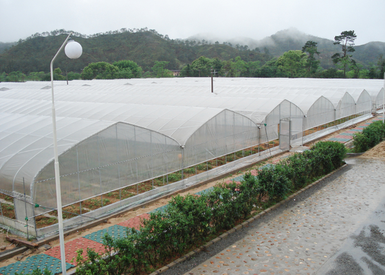WL8132X Single Greenhouses Agricultural Plastic Film Panels 7-10m