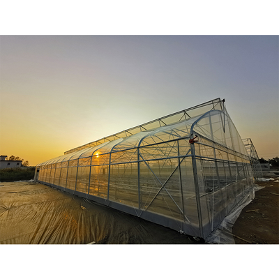 UV Resistant Single Span Greenhouse 200 Micron Plastic Film Long Lasting