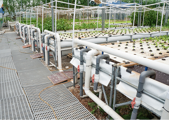 DWC deep water culture Hydroponics System Vertical Hydroponic For Agriculture