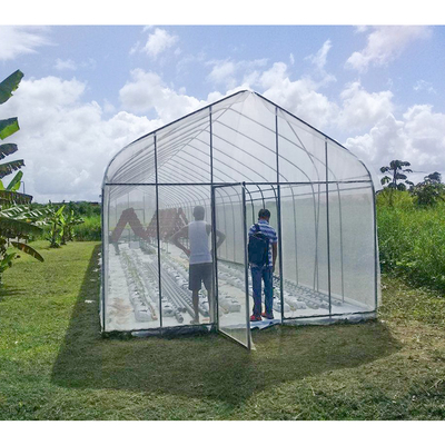 Single Span Greenhouse 8-12m Width with 32mm/38mm/48mm Pipe Diameter