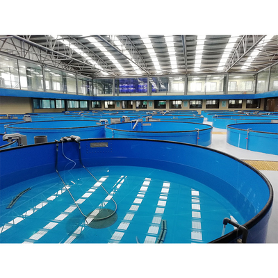 Indoor Recirculating Aquaculture System Galvanized Steel Tank RAS Shrimp Farming