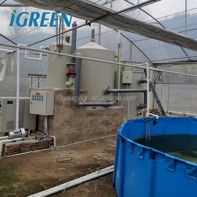 Indoor Recirculating Aquaculture System Galvanized Steel Tank RAS Shrimp Farming