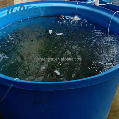 Indoor Recirculating Aquaculture System Galvanized Steel Tank RAS Shrimp Farming