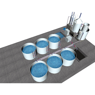 Indoor Ras Fish Farming System Eco Friendly With Hydroponics Compatibility