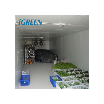 Hydroponics Vegetable And Flower Cold Storage Room Walk In Freezer Customization