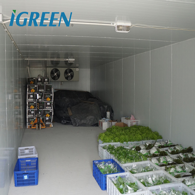 Hydroponics Vegetable And Flower Cold Storage Room Walk In Freezer Customization