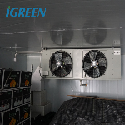 Hydroponics Vegetable And Flower Cold Storage Room Walk In Freezer Customization