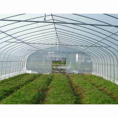 Shoulder Height 2.5m Agricultural Greenhouse 275gsm Zinc Coating Plastic Film Greenhouse