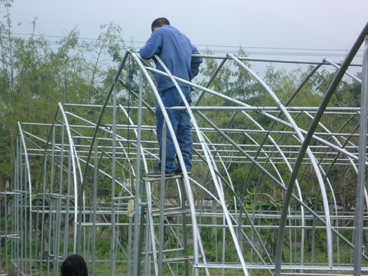 Shoulder Height 2.5m Agricultural Greenhouse 275gsm Zinc Coating Plastic Film Greenhouse