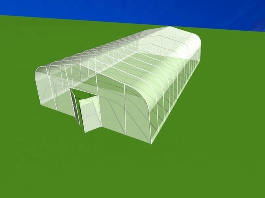 Shoulder Height 2.5m Agricultural Greenhouse 275gsm Zinc Coating Plastic Film Greenhouse
