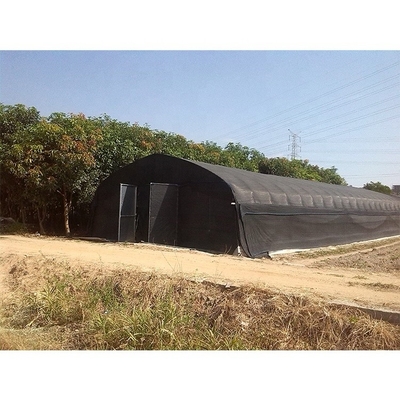 Film Type Mushroom Growing Greenhouse Customizable With High Shoulder Height
