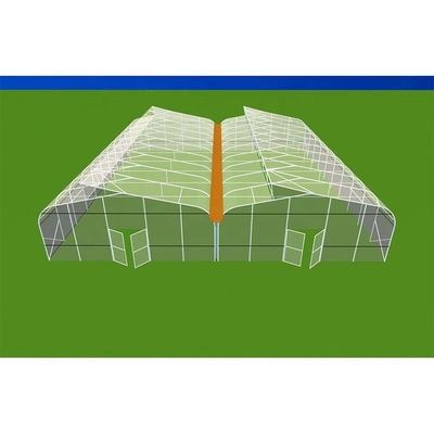 Customized Multi Span Greenhouse Light Deprivation Greenhouse Large Glass Film Type