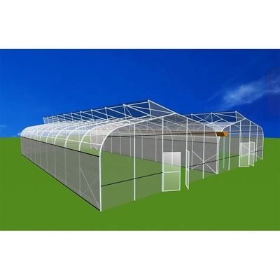 Customized Multi Span Greenhouse Light Deprivation Greenhouse Large Glass Film Type