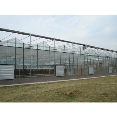 Galvanized Steel Pipe Multi Span Greenhouse Vegetable Greenhouse Kits For Winter Cover