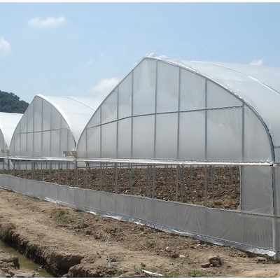 Customize Multi Span Greenhouse High Tunnel Greenhouse For Tomato Farming