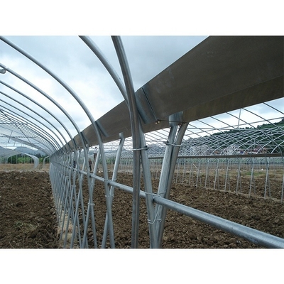 Customize Multi Span Greenhouse High Tunnel Greenhouse For Tomato Farming