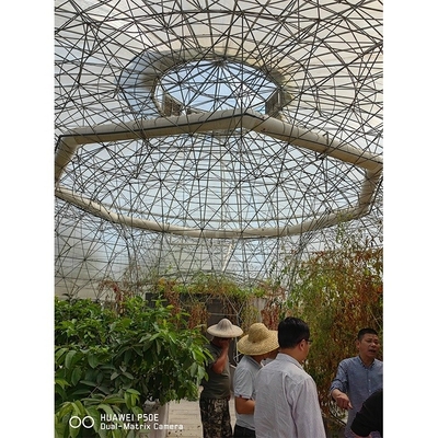 Film Surface Custom Garden Geodesic Dome Greenhouse Galvanized Steel with Grow Tent