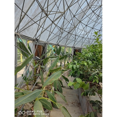 Film Surface Custom Garden Geodesic Dome Greenhouse Galvanized Steel with Grow Tent