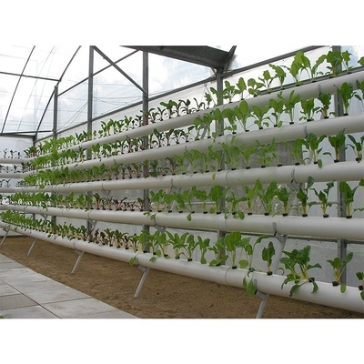 Customizable Electricity Vertical Hydroponic System For Indoor Plant Growing