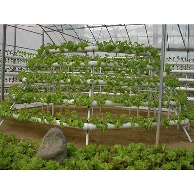 Customizable Electricity Vertical Hydroponic System For Indoor Plant Growing