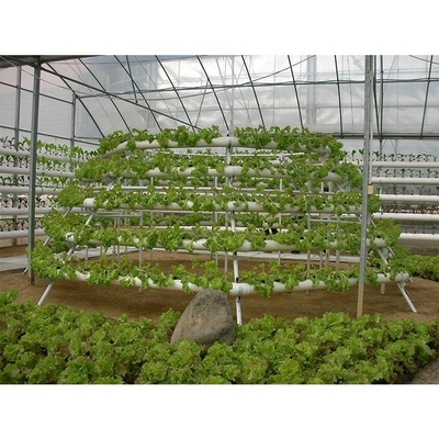 Customizable Electricity Vertical Hydroponic System For Indoor Plant Growing