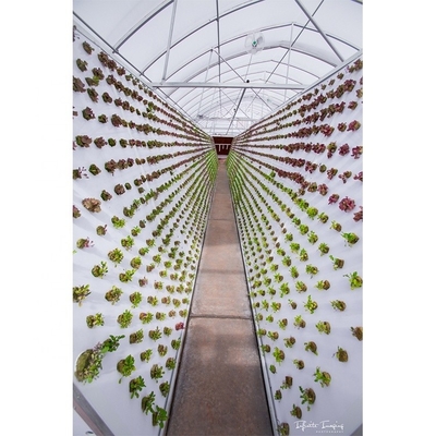 Film Type Vertical Hydroponic Growing System Single Span For 5m Roof Height