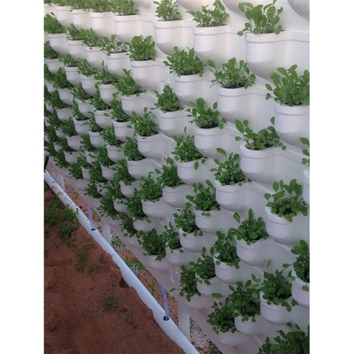 Film Type Vertical Hydroponic Growing System Single Span For 5m Roof Height