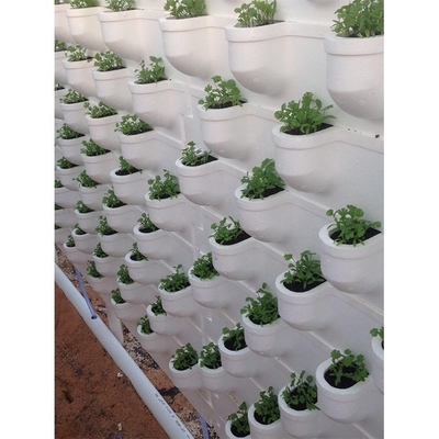 Film Type Vertical Hydroponic Growing System Single Span For 5m Roof Height