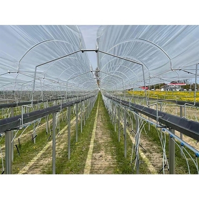 Film Type Strawberry Hydroponic System Space Saving With High Production