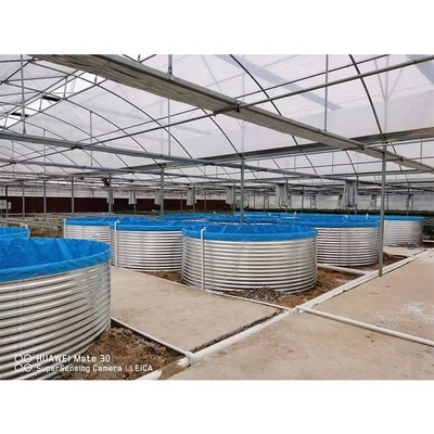 Commercial Recirculating Aquaculture System Customized Ras System Aquaculture
