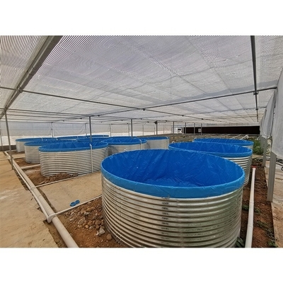 Commercial Recirculating Aquaculture System Customized Ras System Aquaculture