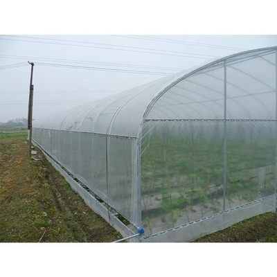 3.3m Height Metal Frame Greenhouse 300sqm Customization For Strawberry