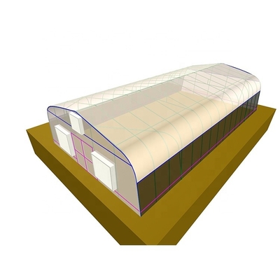 3.3m Height Metal Frame Greenhouse 300sqm Customization For Strawberry