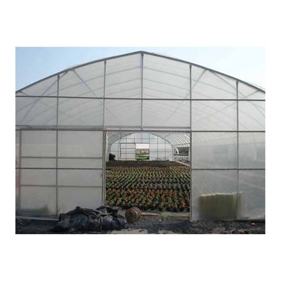 Single Layer Plastic Film Greenhouse Versatile For Agricultural Applications