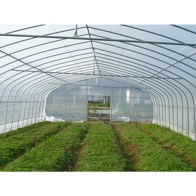 Single Layer Plastic Film Greenhouse Versatile For Agricultural Applications