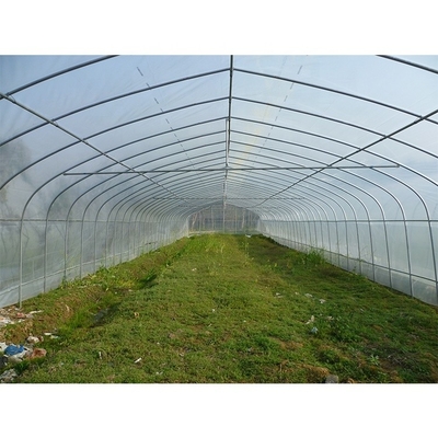 Single Layer Plastic Film Greenhouse Versatile For Agricultural Applications