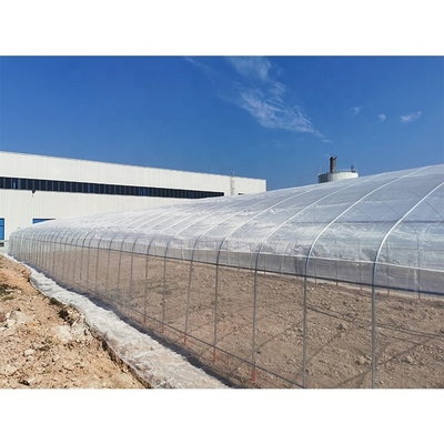 5m Height Mushroom Growing Greenhouse Plastic Mesh For Insect Resistance And Roof Ventilation