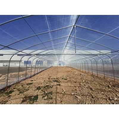 5m Height Mushroom Growing Greenhouse Plastic Mesh For Insect Resistance And Roof Ventilation