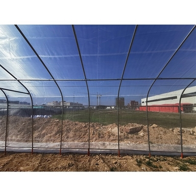 5m Height Mushroom Growing Greenhouse Plastic Mesh For Insect Resistance And Roof Ventilation