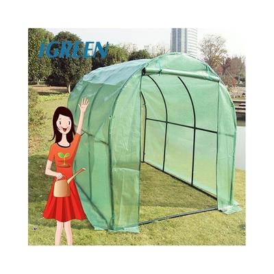 Customizable Agricultural Equipment Mini Plastic Plant Greenhouses Single Layer