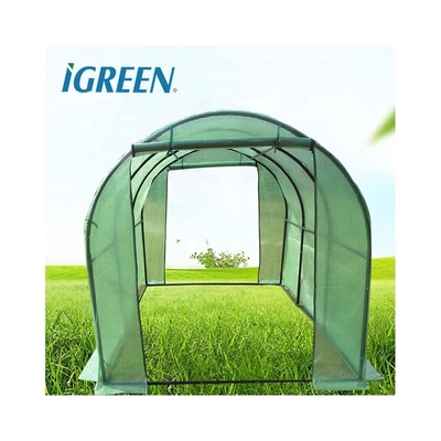 Customizable Agricultural Equipment Mini Plastic Plant Greenhouses Single Layer