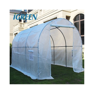Customizable Agricultural Equipment Mini Plastic Plant Greenhouses Single Layer